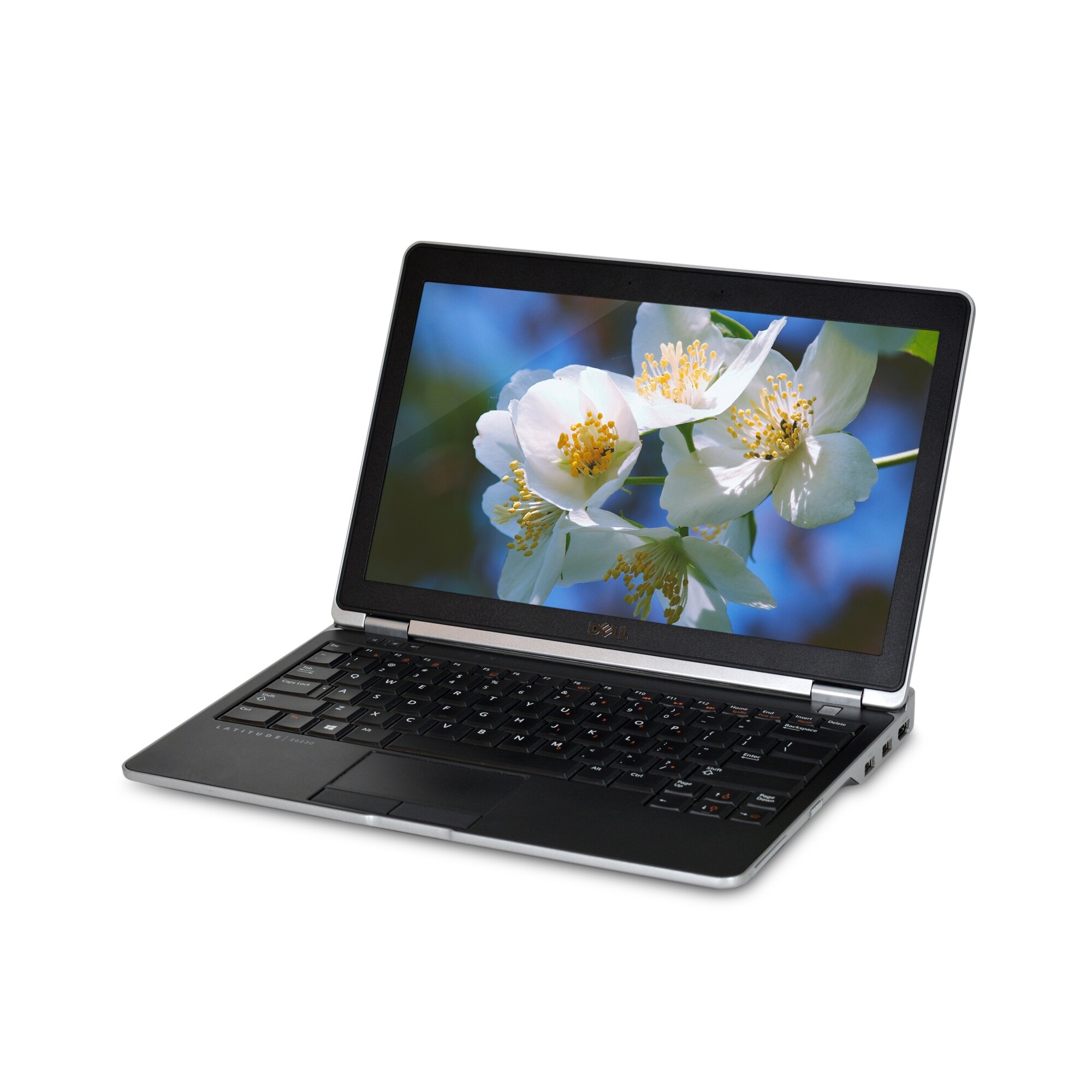 4GB RAM for Dell Latitude E6330