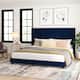 Option Navy Velvet