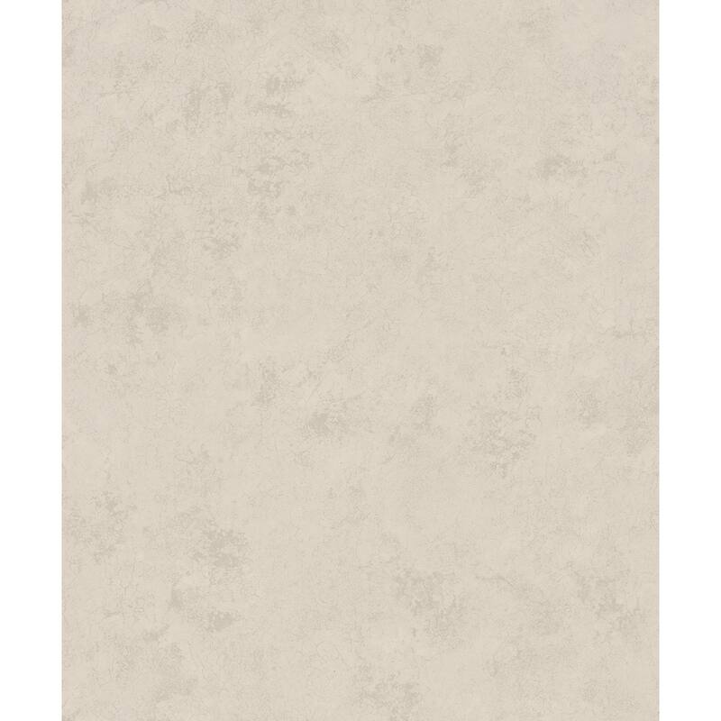 Galerie Wallcoverings Terra Collection Plaster Effect Matte Finish Clay Ink on Non-woven Wallpaper Roll - 33-feet long x 21-inches wide - Grey