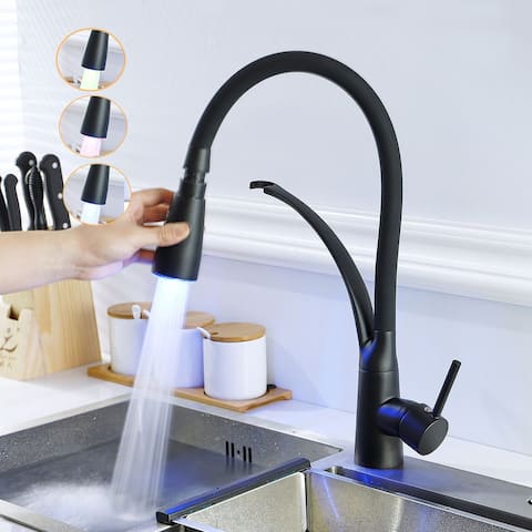 Single Handle Pull-out Kitchen Faucet Matte Black