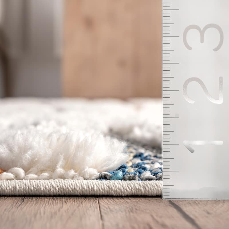 Nuloom Jodie Rainbow Zebra Braided Tassle Area Rug