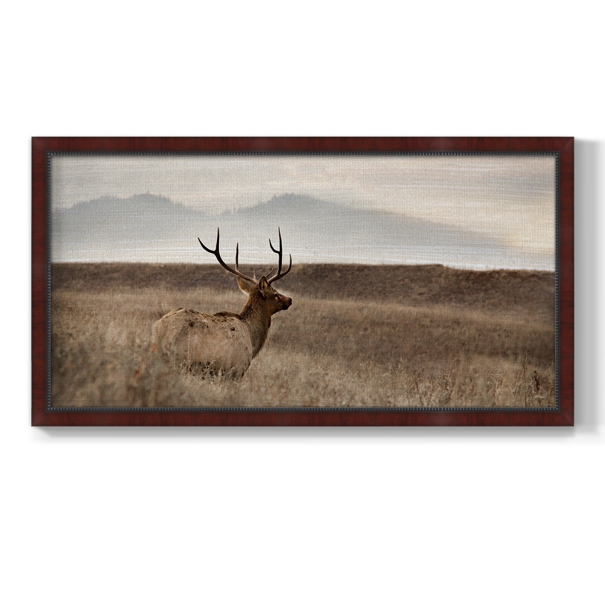 Now You See Me Premium Framed Canvas- Ready to Hang