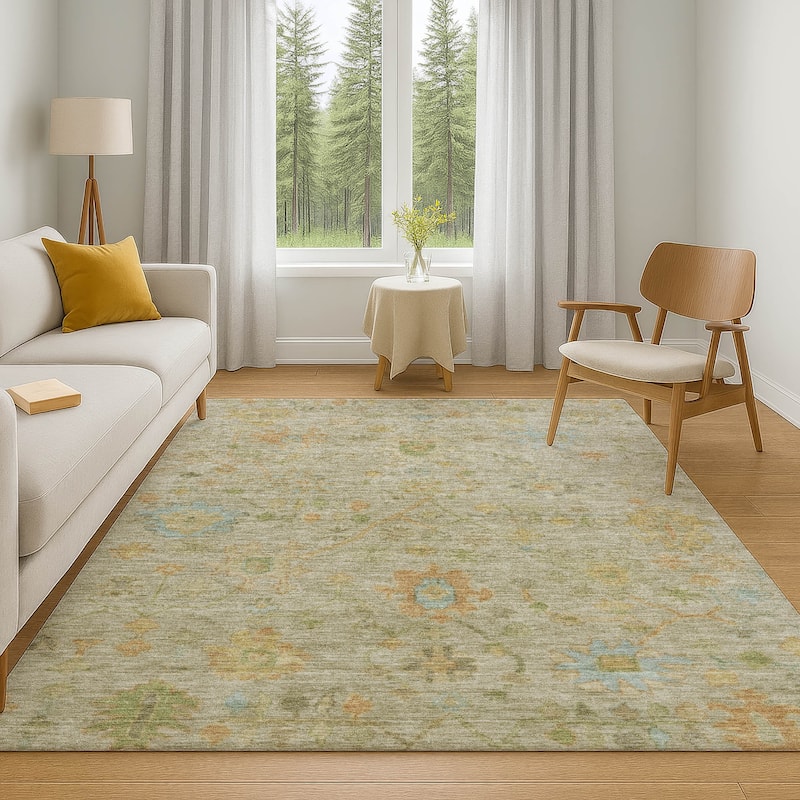 Premium Washable Super Soft Farmhouse Traditional Mayfield Rug
