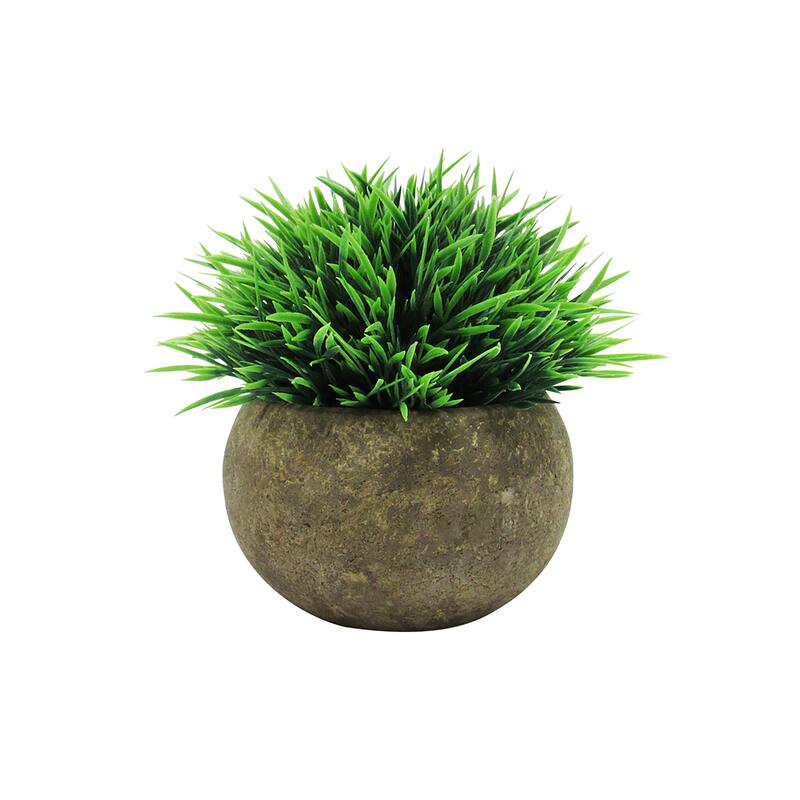 Set of 3 Frosted Green Artificial Boxwood Grass Leaf Succulent Mix Small Plant in Pot 4.5in - 4.5" H x 4.5" W x 4.5" DP