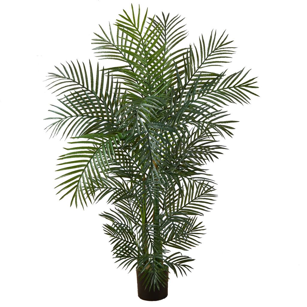 4.5-foot Areca Palm - Green