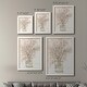 preview thumbnail 40 of 43, Delicate Arrangement I-Premium Framed Canvas - Ready to Hang