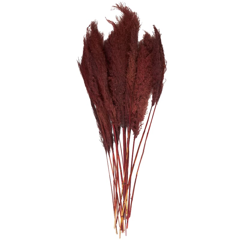 Red Dried Plant Pampas Grass Home Decor Natural Foliage with Long Stems