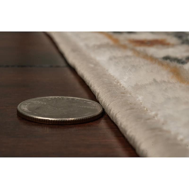 Dynamic Rugs Charlotte Traditional Area Rug