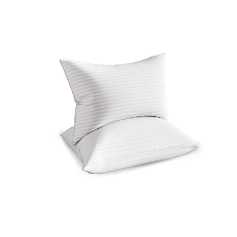 CraftPorch Elegence 2 Pieces Pillow