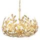 Option Antique Gold