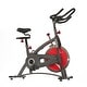 Sunny Health & Fitness SF-B1423 Belt Drive Indoor Cycling Bike - Bed ...