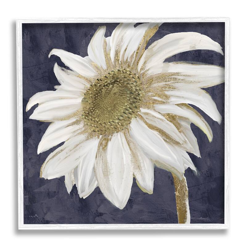 Stupell Distressed Daisy Petals Framed Giclee Texturized Wall Art, Design By Sophie 6 - 24 x 24 - White