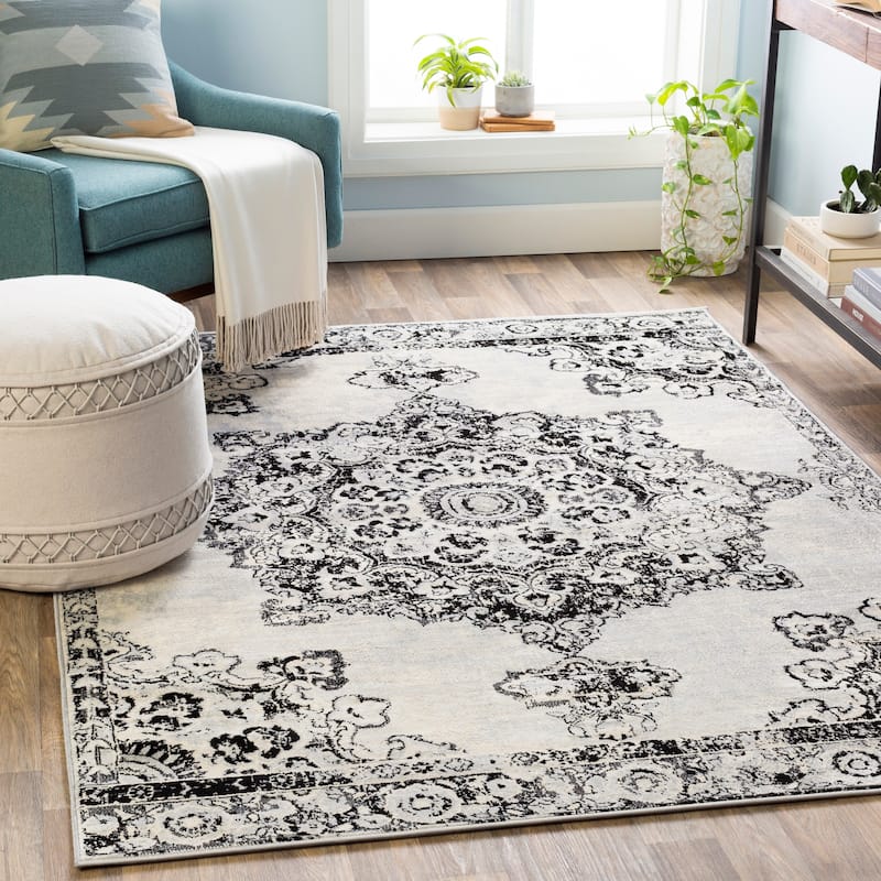 Livabliss Muradbegovic Persian Medallion Area Rug