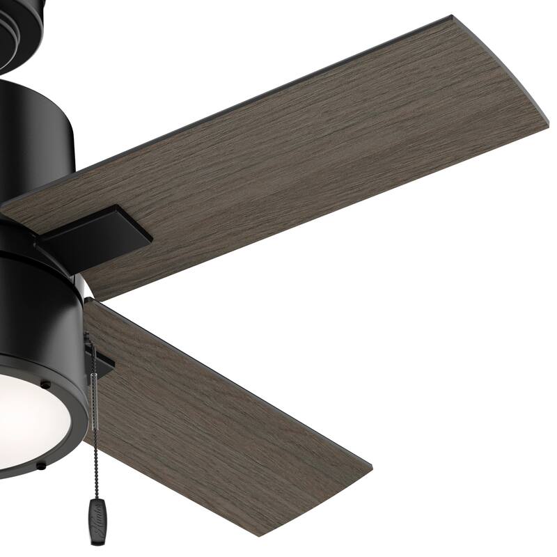 Hunter 42" Beck Ceiling Fan with LED Light Kit and Pull Chain - Transitional, Modern, Industrial
