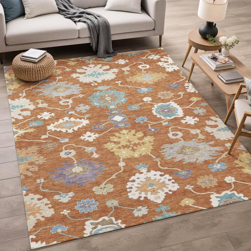 Machine Washable Indoor/ Outdoor Traditonal Delhi Chantille Rug