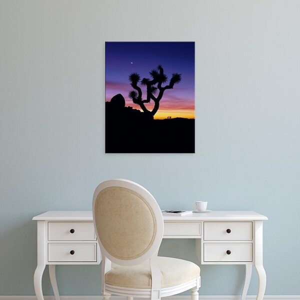 Easy Art Prints Jerry Ginsberg's 'Joshua Tree Night' Premium Canvas Art