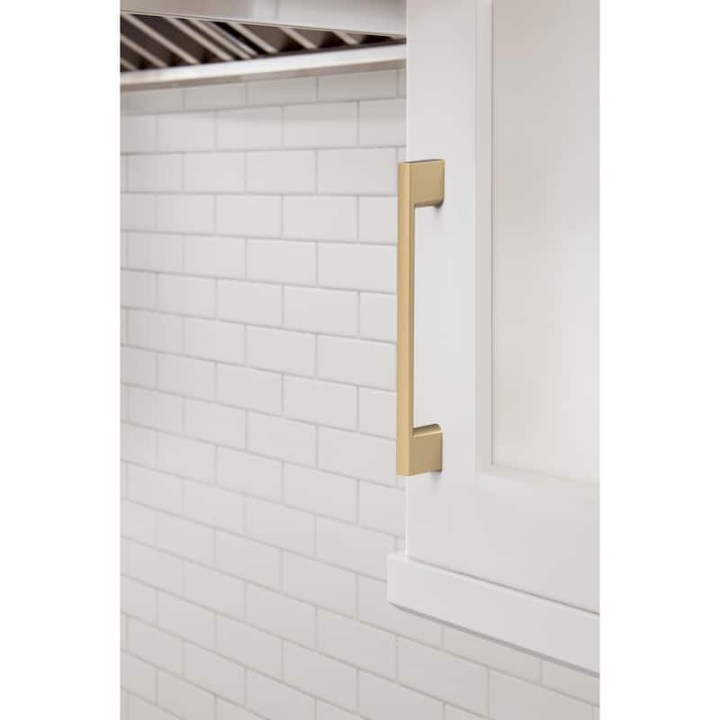 Amerock Cityscape Cabinet or Furniture Pull