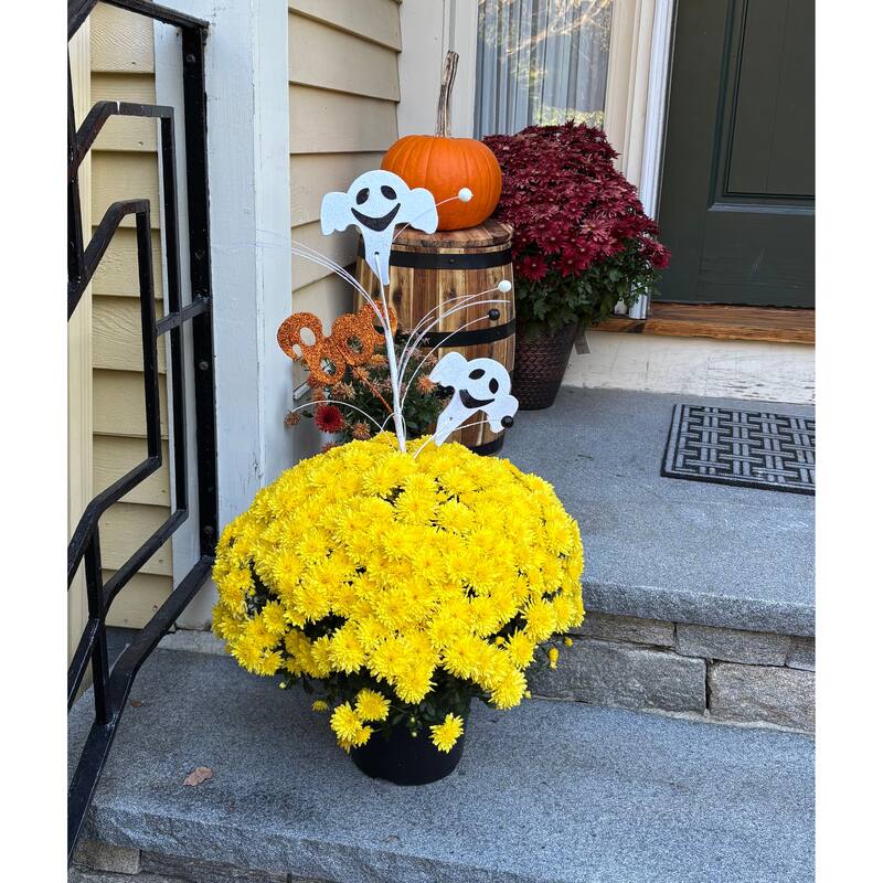 23.5" Friendly Boo And Ghost Spray, Set of 6