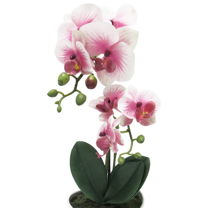 Artificial Phalaenopsis Orchid Flower Arrangement in Pot 16in