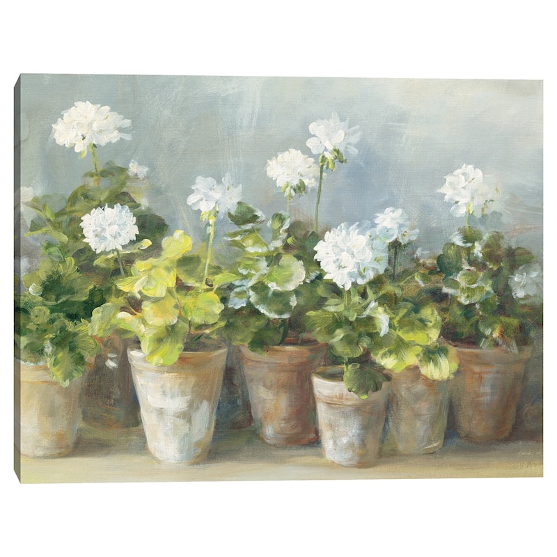 White Geraniums by Danhui Nai Canvas Art Print