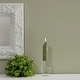 preview thumbnail 18 of 16, Root Unscented 5 In. Timberline™ Collenette Taper Candles box of 8 - 5 X 1-1/4