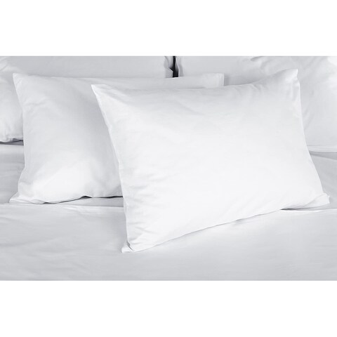 Set of 2 Double Down Surround Pillows-As Seen in Many 5 Star Hotels - White