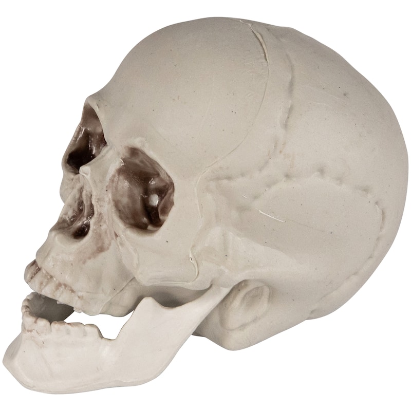 Skeleton Skulls Halloween Decorations - 4.5" - Set of 6