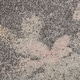 preview thumbnail 108 of 106, Nourison Tranquil Contemporary Abstract Floral Area Rug