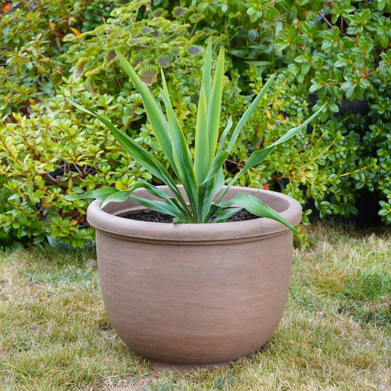 Agave Round Indoor and Outdoor Planter