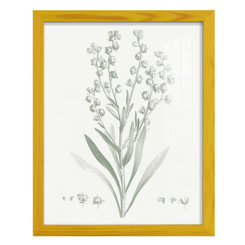 Botanical Study in Sage I -Framed Print w/glass-Cherry Red