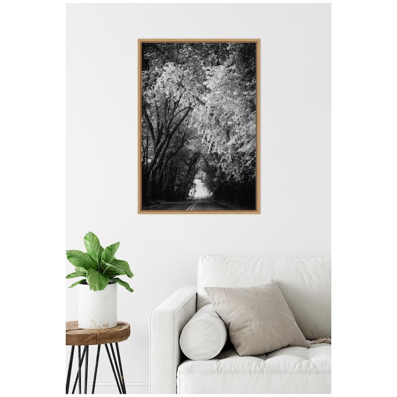 Kate and Laurel Sylvie Pleasant Valley Road Serene Path Framed Canvas by Emiko and Mark Franzen of F2Images
