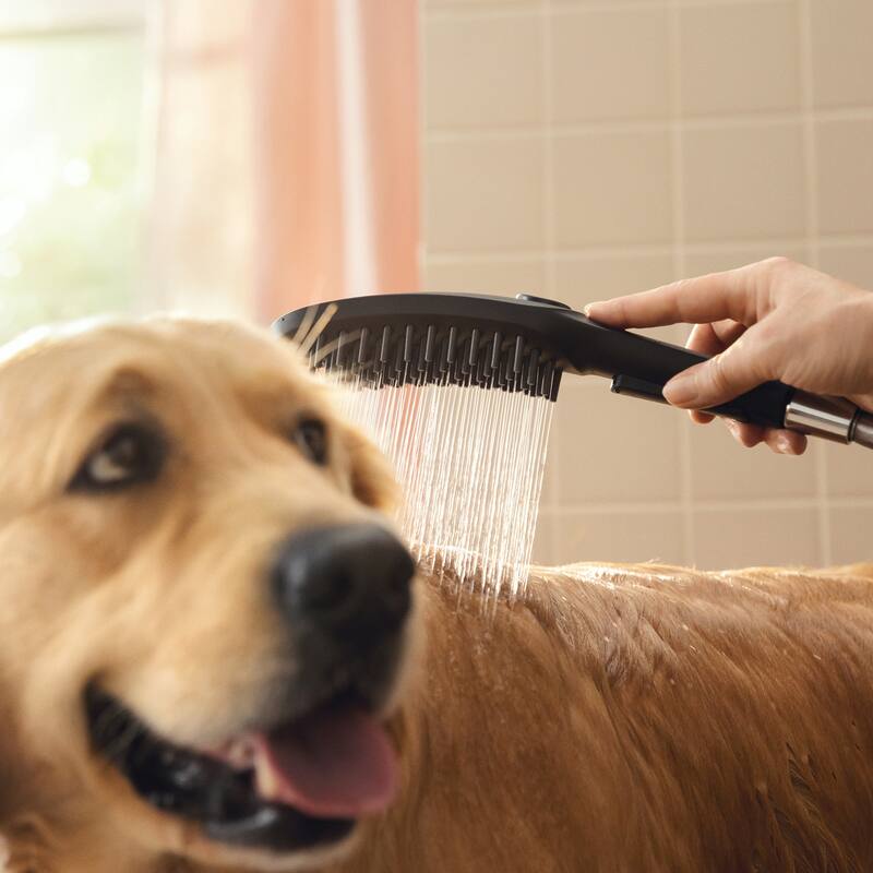 Hansgrohe 04973 DogShower 150, 3-Jet Select Hand Held Dog Shower with