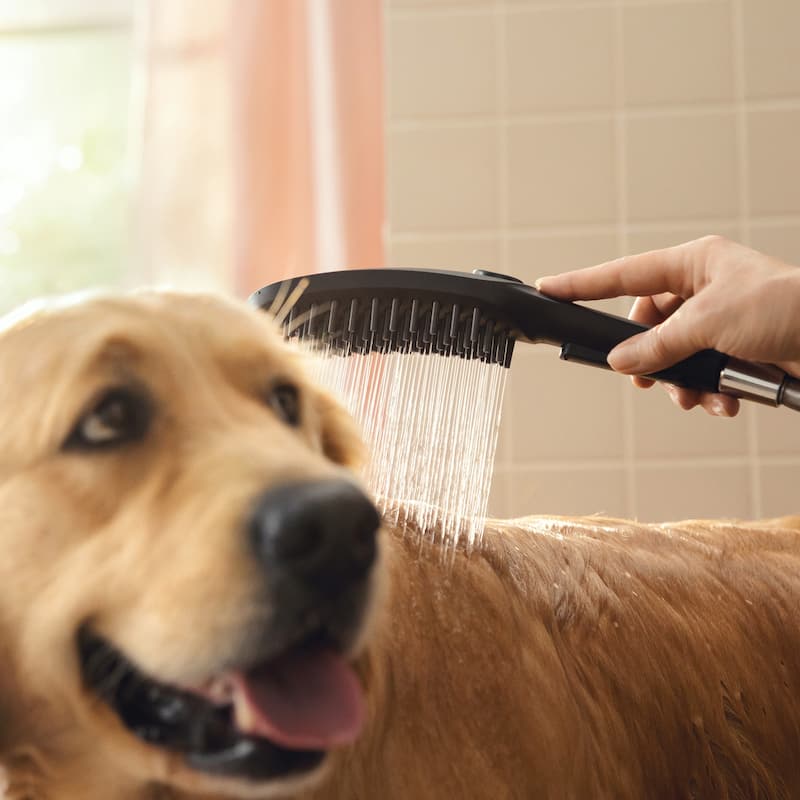 Hansgrohe 04974 DogShower 150, 3-Jet Select Hand Held Dog Shower Set