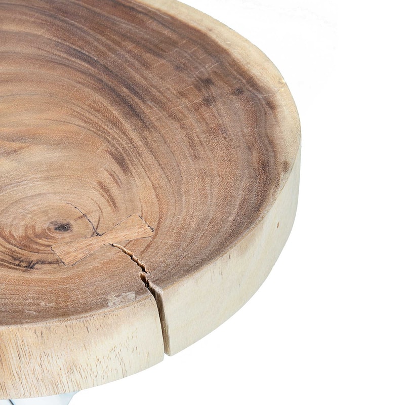 East at Main Solid Wood Cross-cut Accent Table with Branch Base - Small
