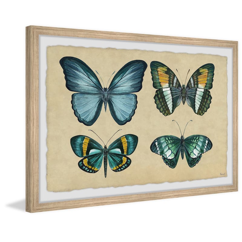 Wing Pattern Framed Print