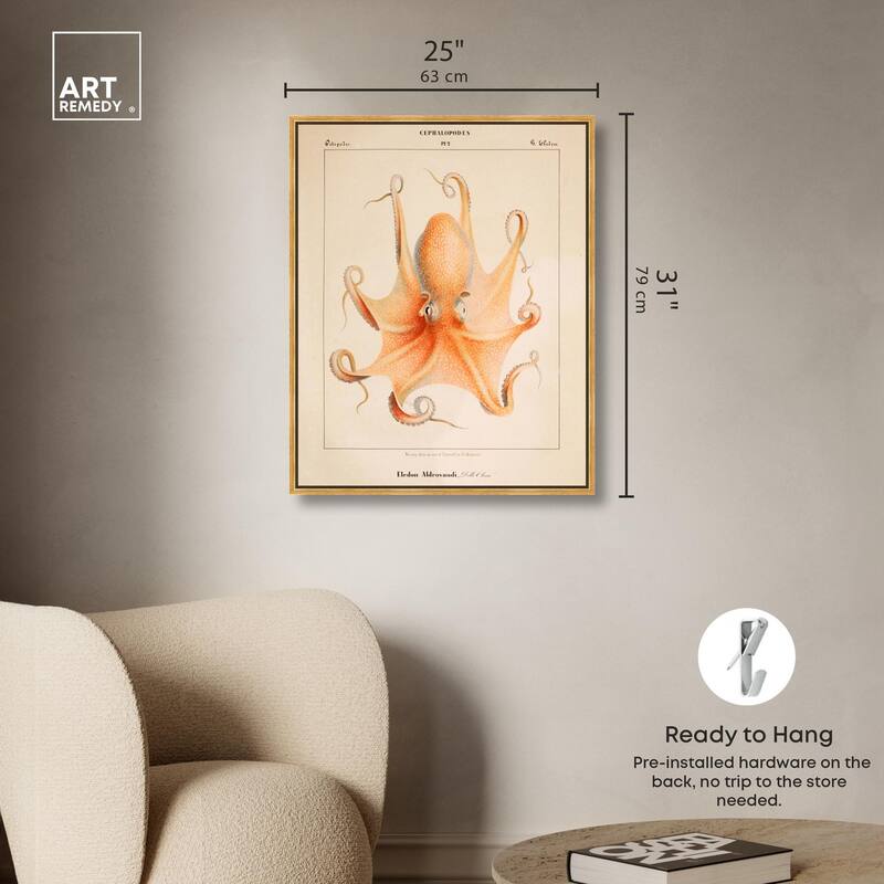Verany The Octopus 1815 II Canvas by Art Remedy