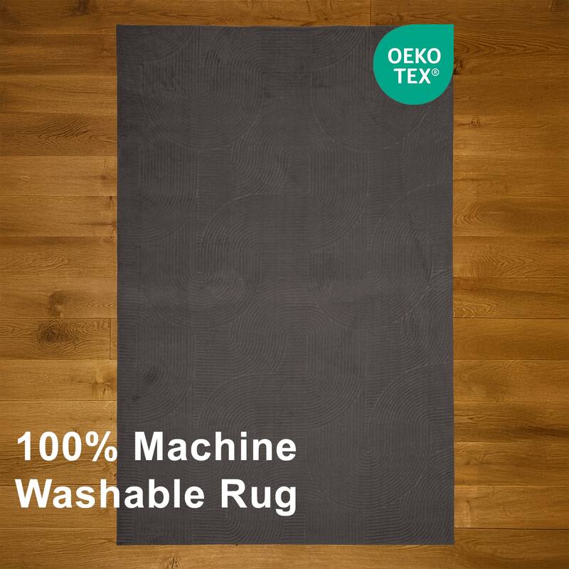 ECARPETGALLERY Elion Modern Machine Washable Area Rug