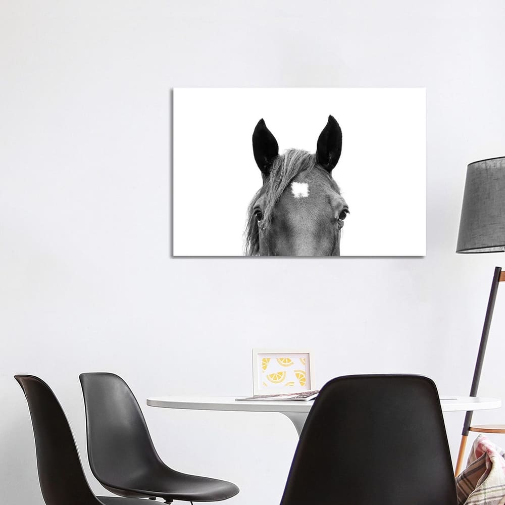 iCanvas "Peeking Horse In Black & White" by Sisi & Seb Canvas Print