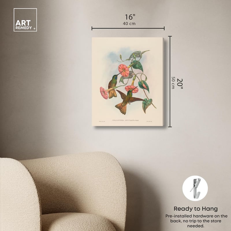 Gould's Hummingbirds Canvas by Art Remedy, Gallery Wrapped