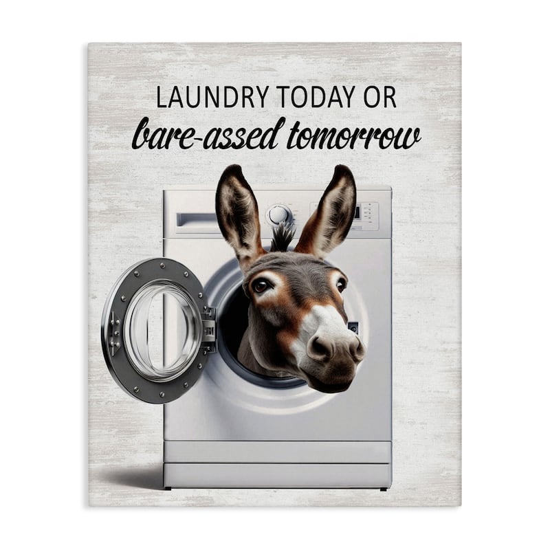 Stupell Sassy Laundry Donkey Pun Canvas Wall Art Design By Lettered and Lined - 30 x 40
