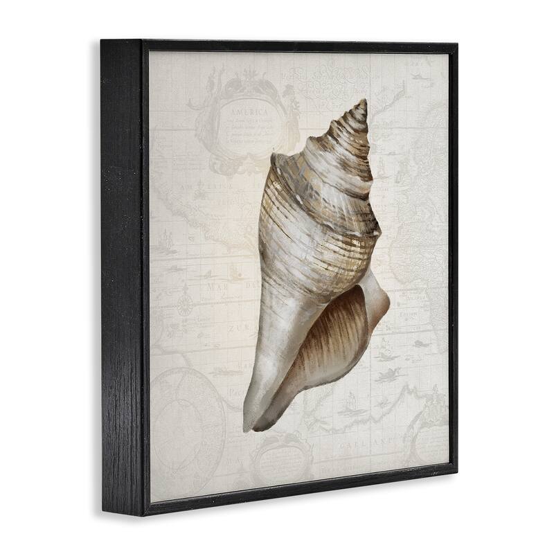 Stupell Conch Shell over Vintage Map Framed Giclee Art Design By Conrad Knutsen