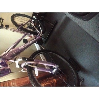 recumbent bike trainer stand