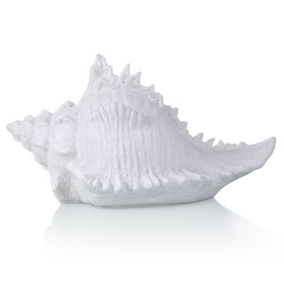 Natural Conch Shell Accent Night Light Lamp - White - 10"D x 17"W x 10"H - 10"D x 17"W x 10"H