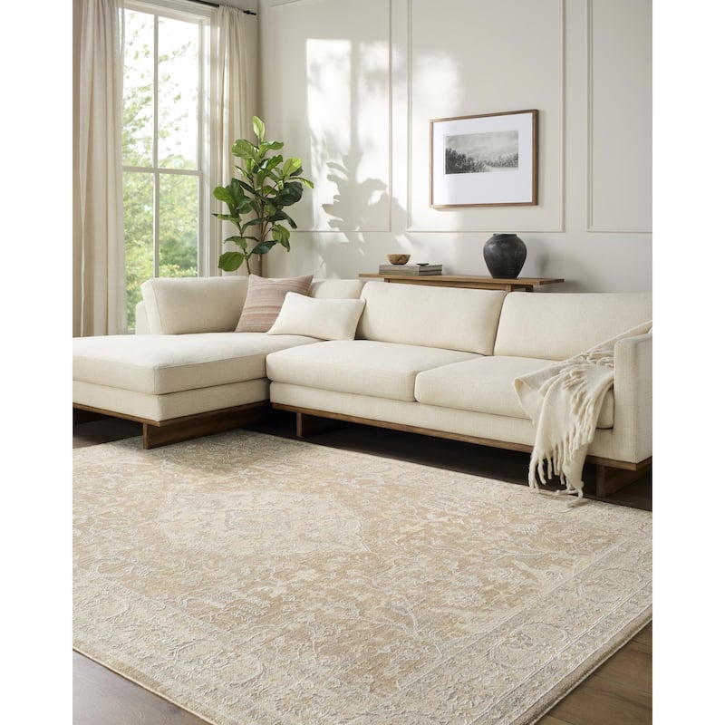 Rachel Zoe x Livabliss The Vintage Edit Traditional Area Rug - Tan - 2' x 2'11"