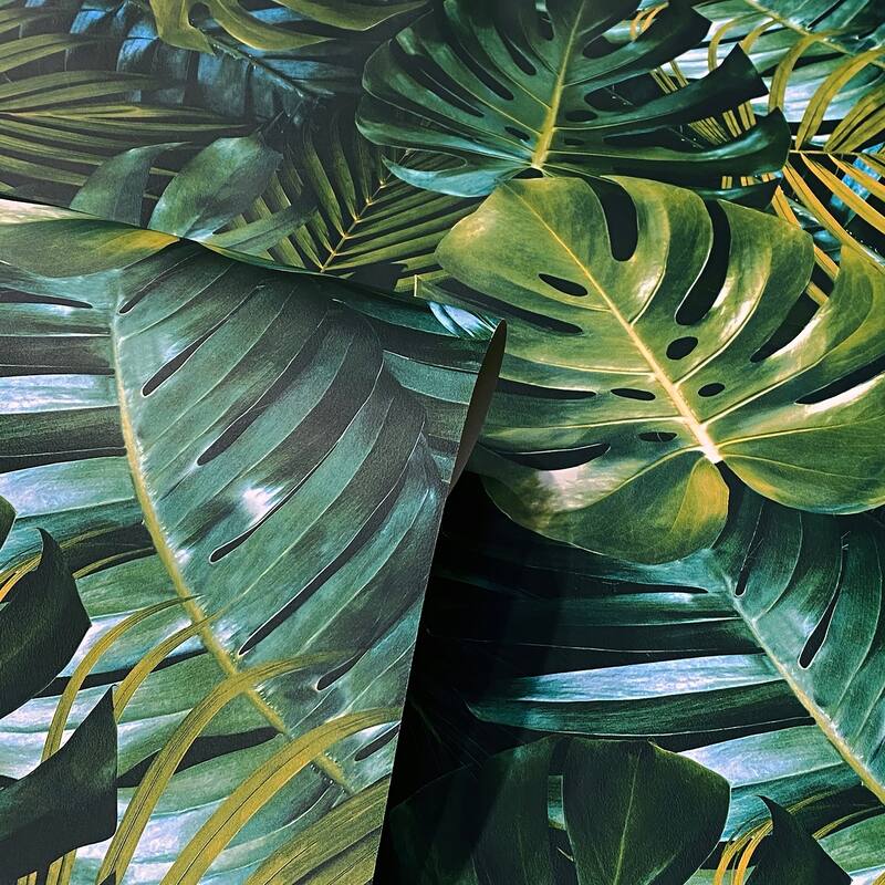 Arthouse Harlynn Green Monstera Wallpaper