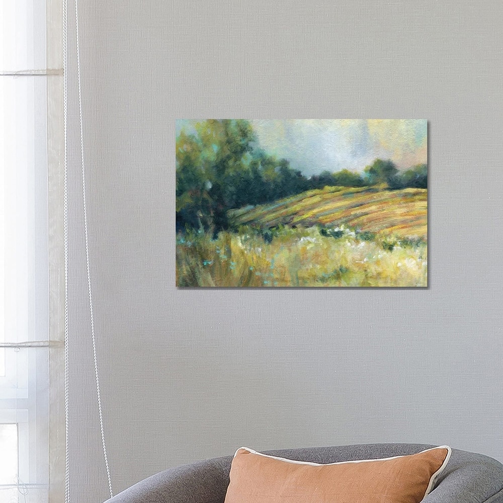 iCanvas "Pastoral Field" by Carol Robinson Canvas Print