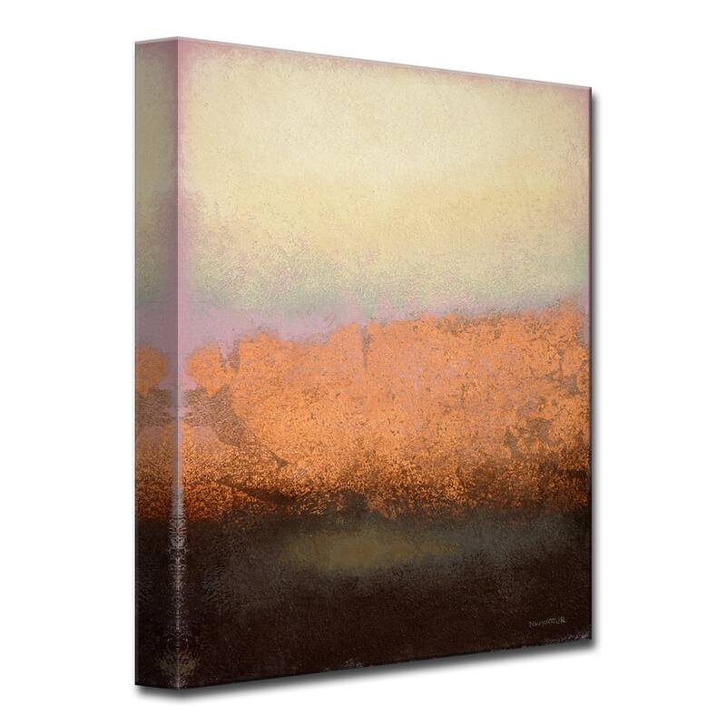 'Alluring Mist' Wrapped Canvas Wall Art by Norman Wyatt Jr.