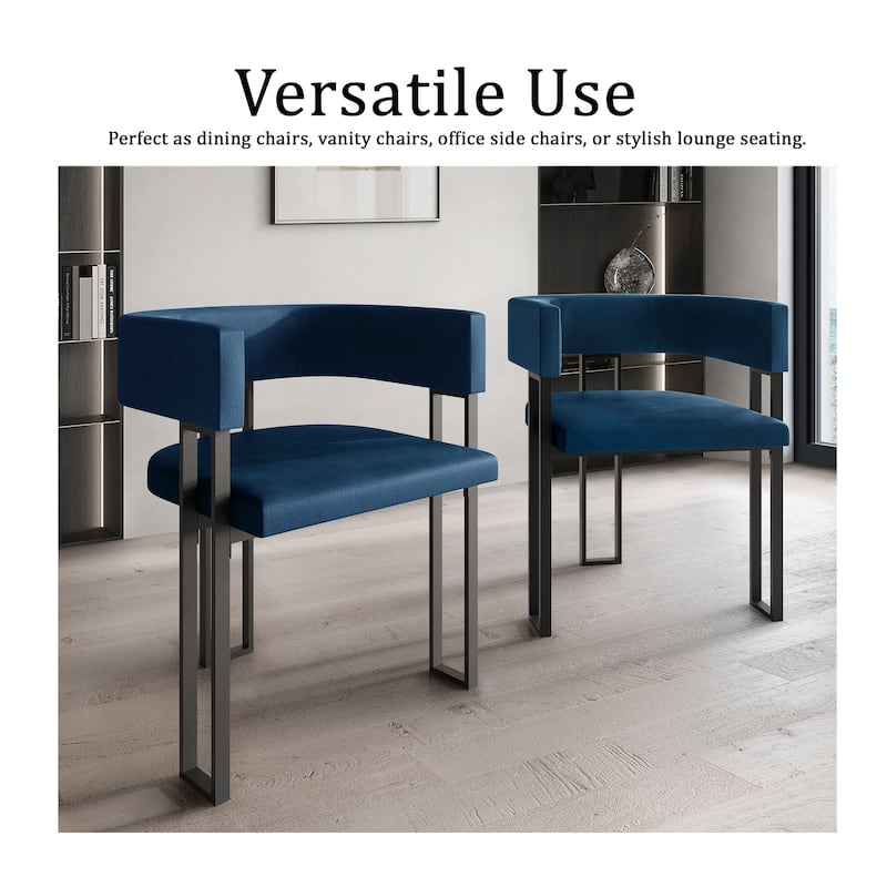 CraftPorch 2 Pieces Contemporary Dining Chair Set