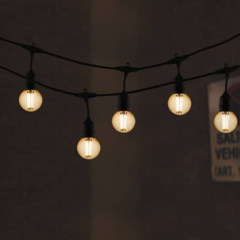 Light Society Koby G16.5 Clear LED Filament Light Bulb (Set of 6)