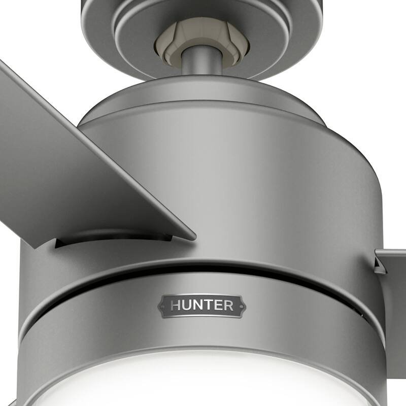 Hunter 44" Gilmour Outdoor Ceiling Fan with LED Light, Handheld Remote, Damp-Rated - Transitional, Contemporary